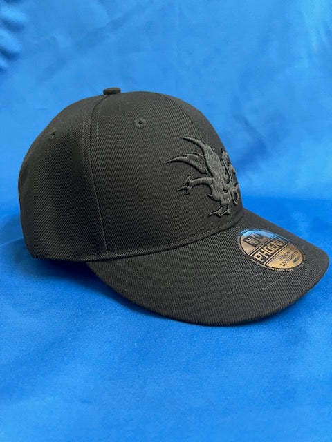 日大アメフトCAP   ブラック