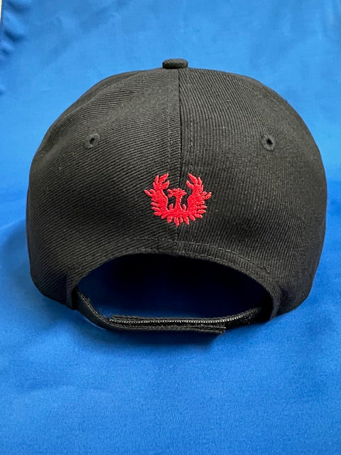 日大アメフトCAP   ブラック