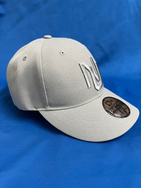 日大アメフトCAP　グレー