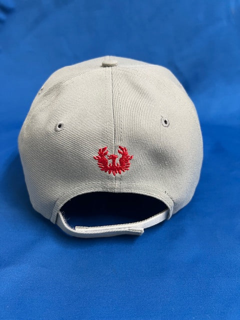 日大アメフトCAP　グレー