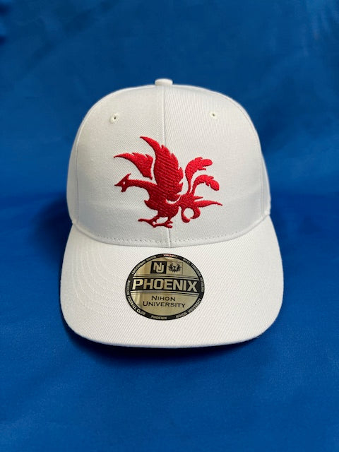 日大アメフトCAP　ホワイト