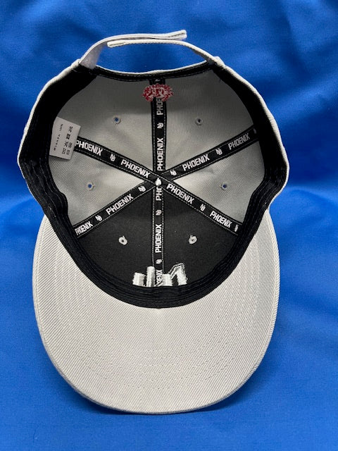 日大アメフトCAP　グレー