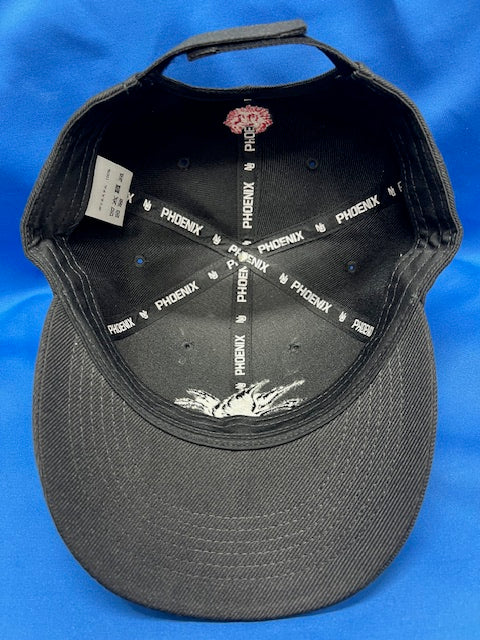 日大アメフトCAP   ブラック