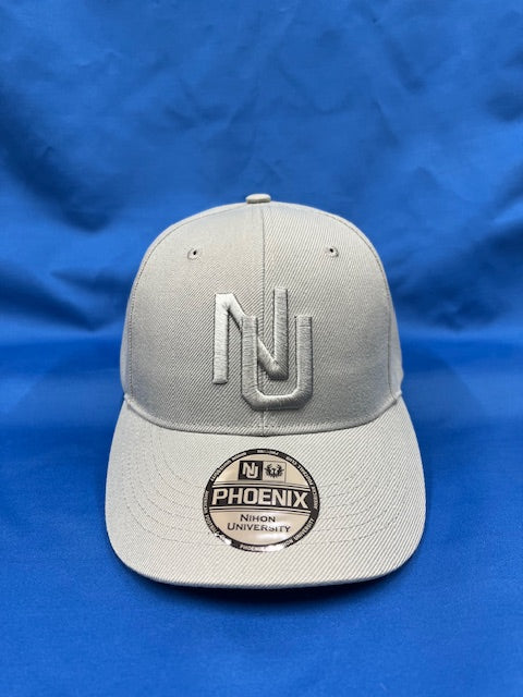 日大アメフトCAP　グレー