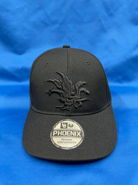 日大アメフトCAP   ブラック